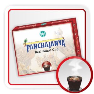 Panchajanya Real Gugal Sambrani Cup