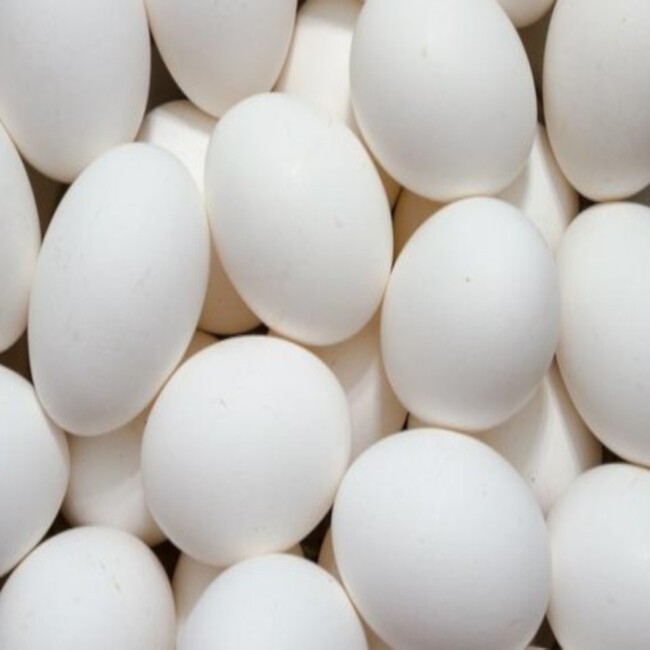 High Quality Fresh Table Eggs and Non Fertile Eggs Cheap Price from India