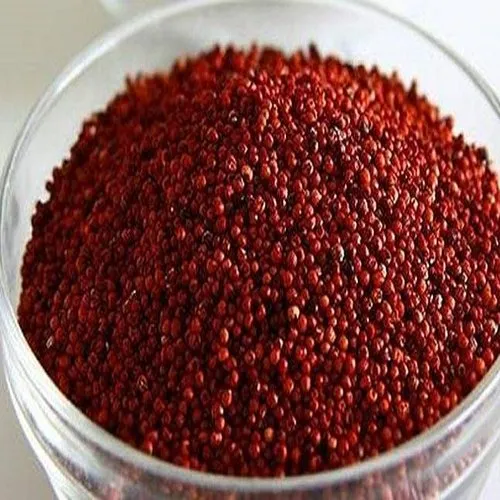 best quality Finger Millet (Ragi)