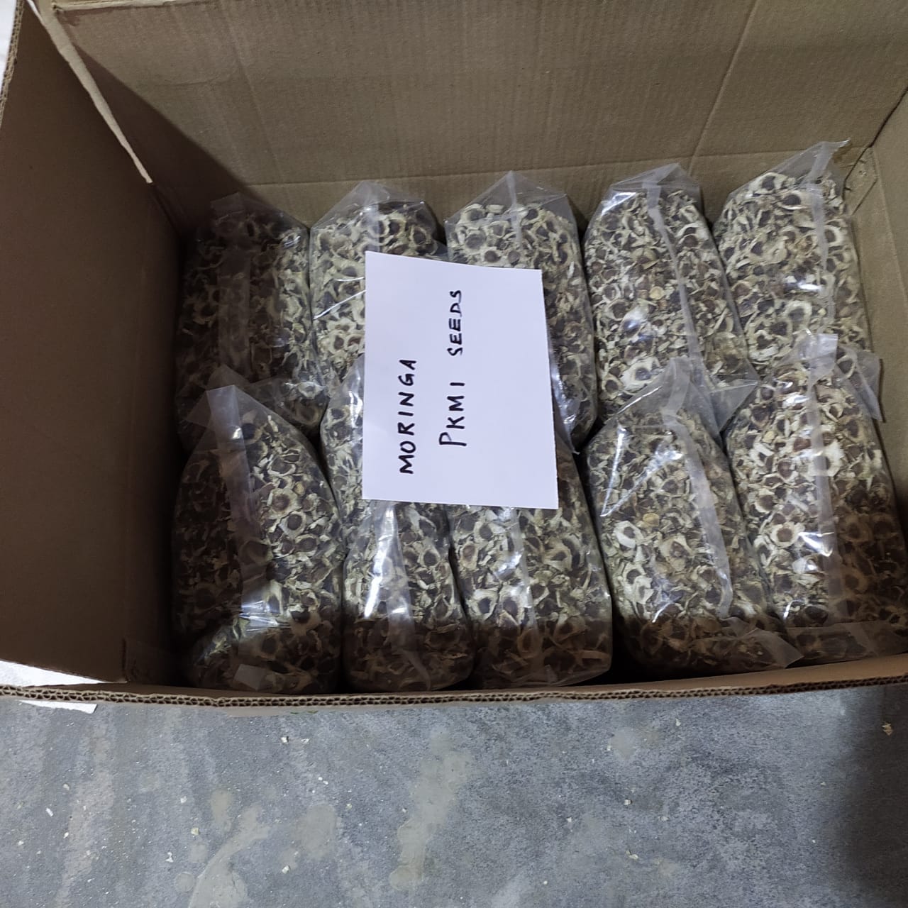 Moringa PKM1 Seeds