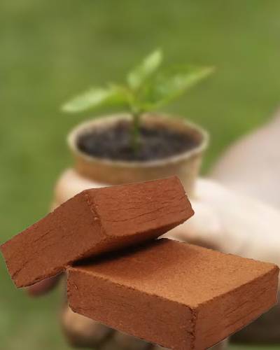 Coir Peat Block