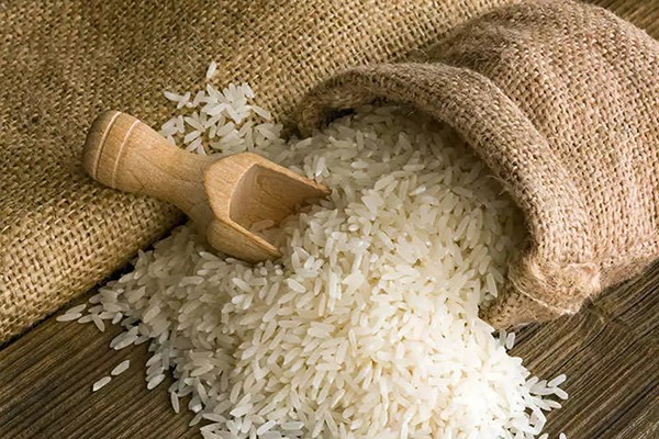 Natural Quality and Pure Broken Rice Best Wholesale price Made In India