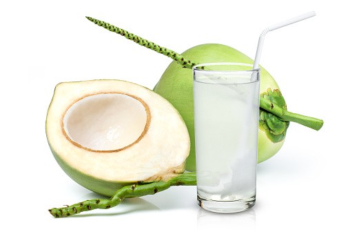 Fresh Tender coconut water best quality for wholesale in india