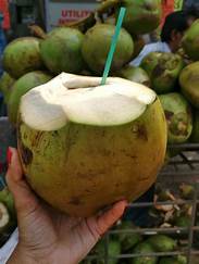 tender coconut