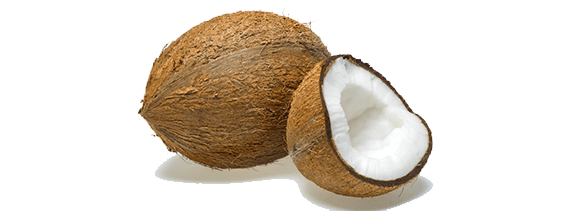 Coconut