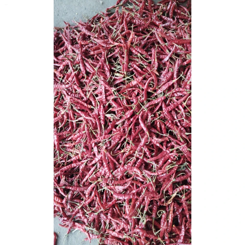 Indian Hot Dry Red Teja Chilli