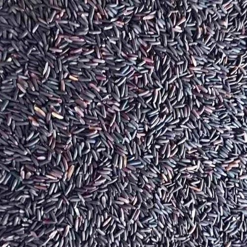 Karuppu Kavuni Black Rice