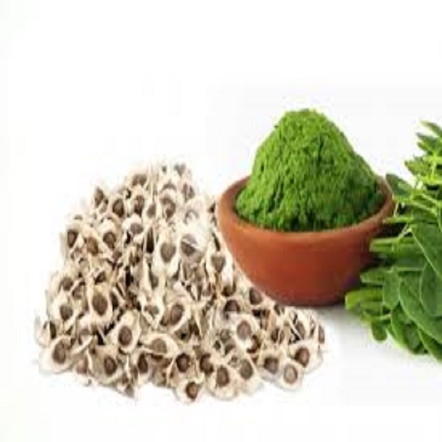 best quality with natural moringa product