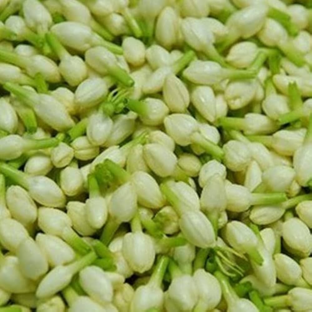 Top selling 100% Loose Jasmine flower