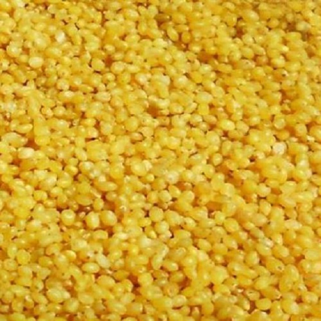 premium quality with Organic Foxtail Millet