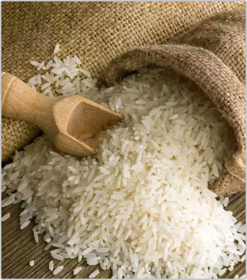 Finest quality of Basmati Rice with rich fragrance at best price from the grounds of India