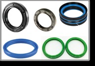 OIL SEALS