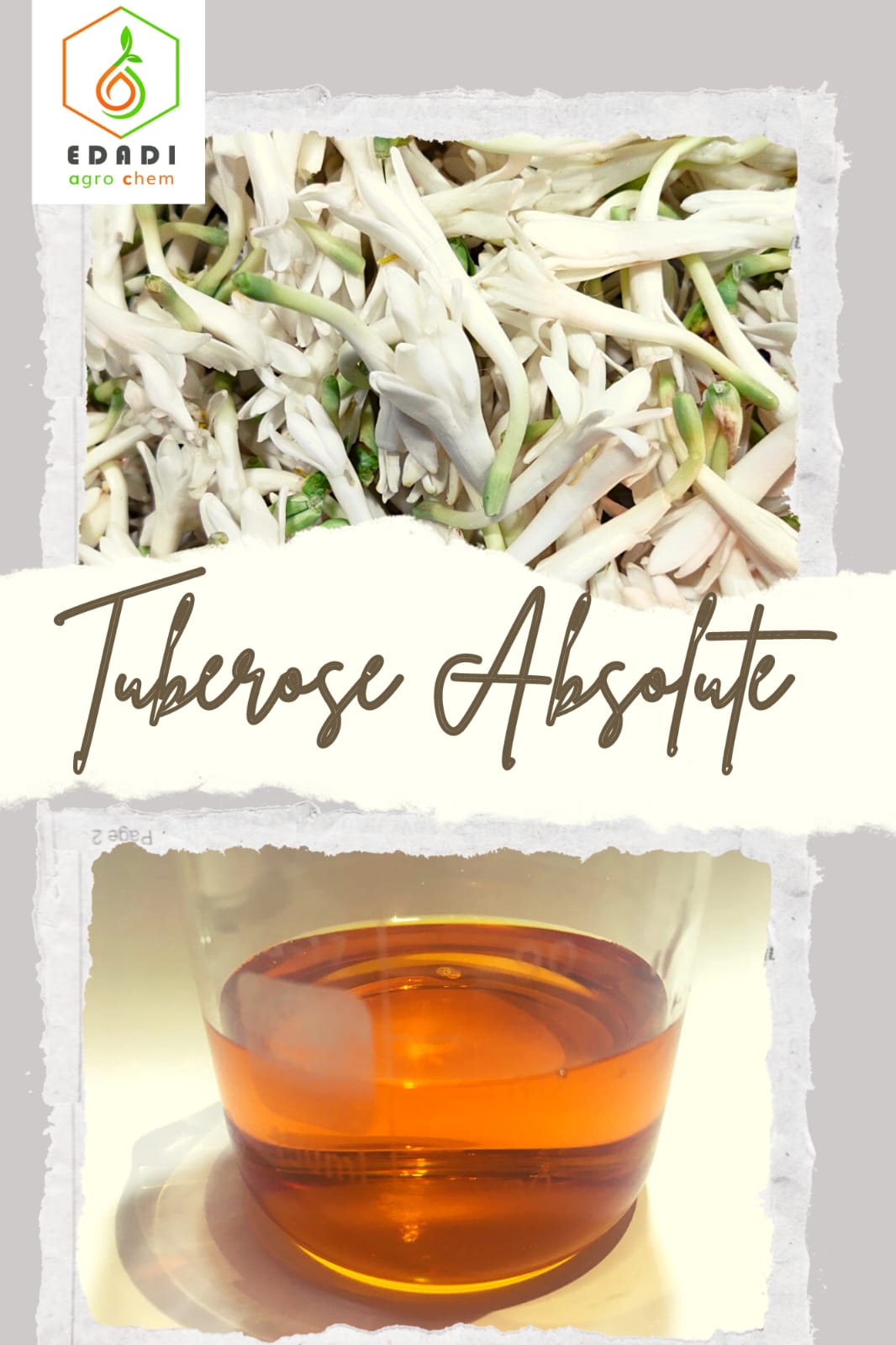 TUBEROSE ABSOLUTE OIL