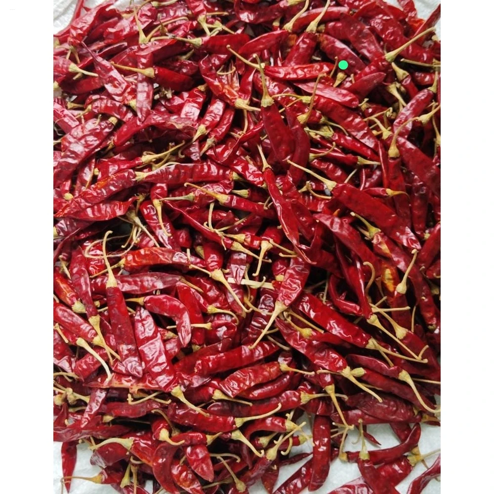 Top Quality Red Sannam Chilli