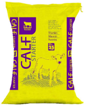 HOT SELLING WITH BEST PRICE RGS CALF STARTER WITH NATURAL FEED IN INDIA