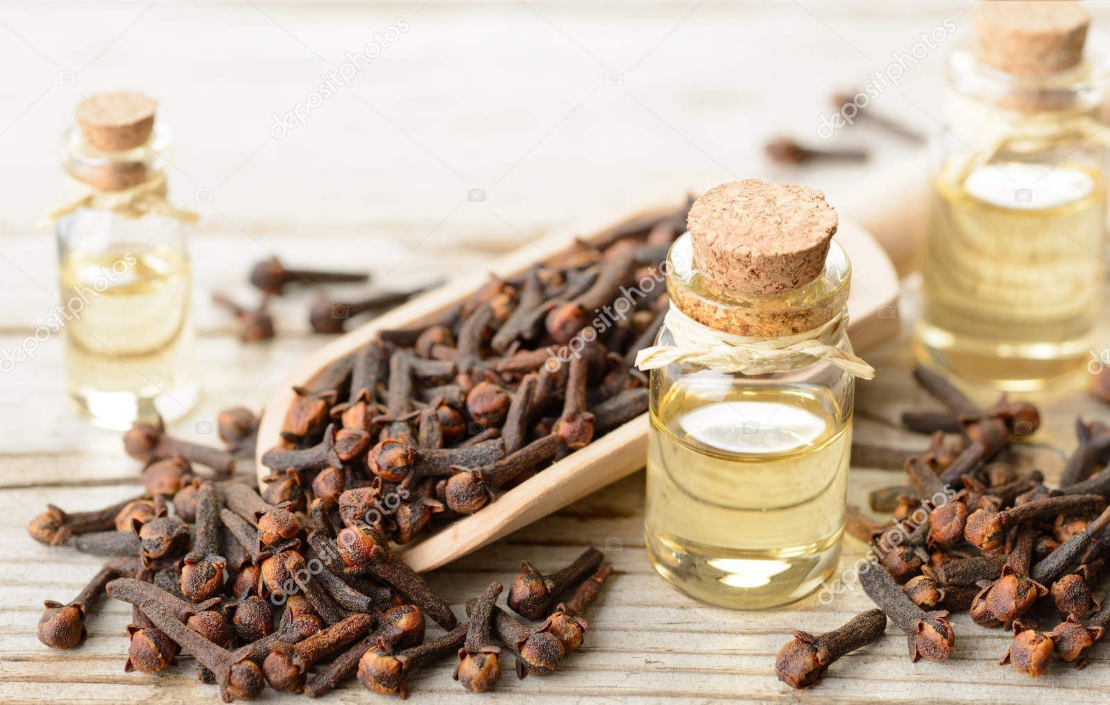 CLOVE BUD OIL