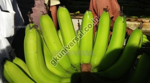 Premium quality Green Cavendish Banana