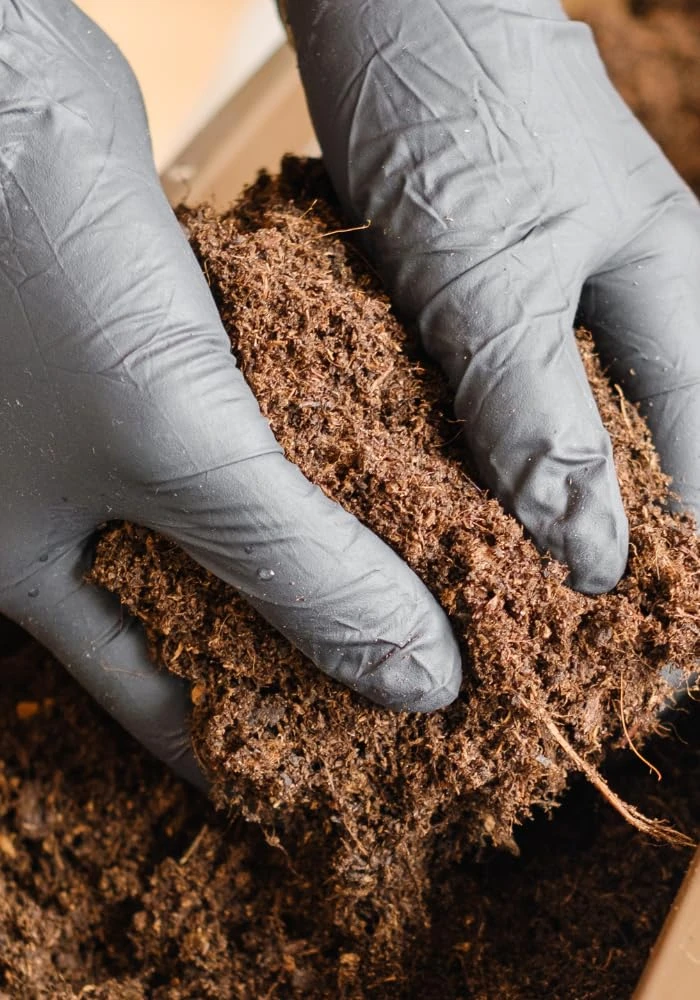 Coir Blocks in a customized branding