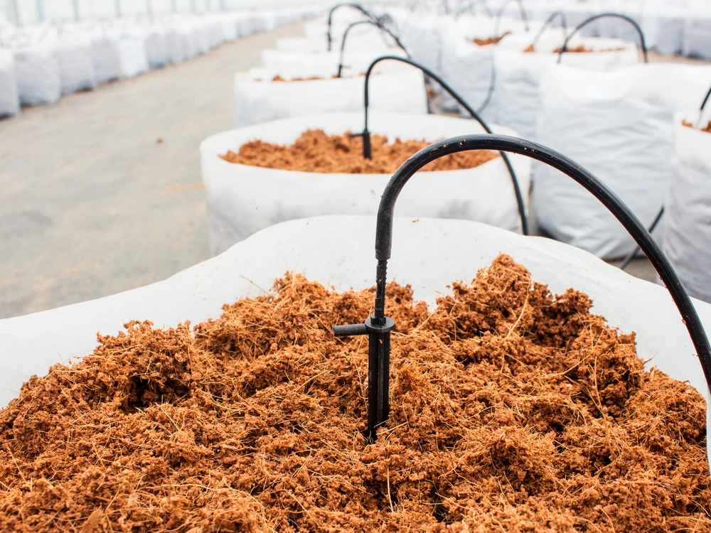 Best quality cleanly filtered coir grow bags for natural farming