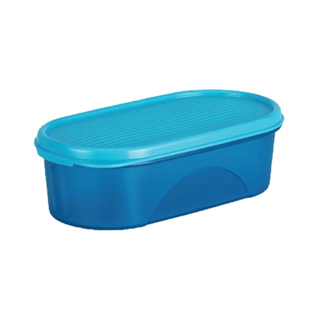 Hot Selling Plastic Kitchen containers Stitch Masala Box With Spoon With Inner away food packing container on sale