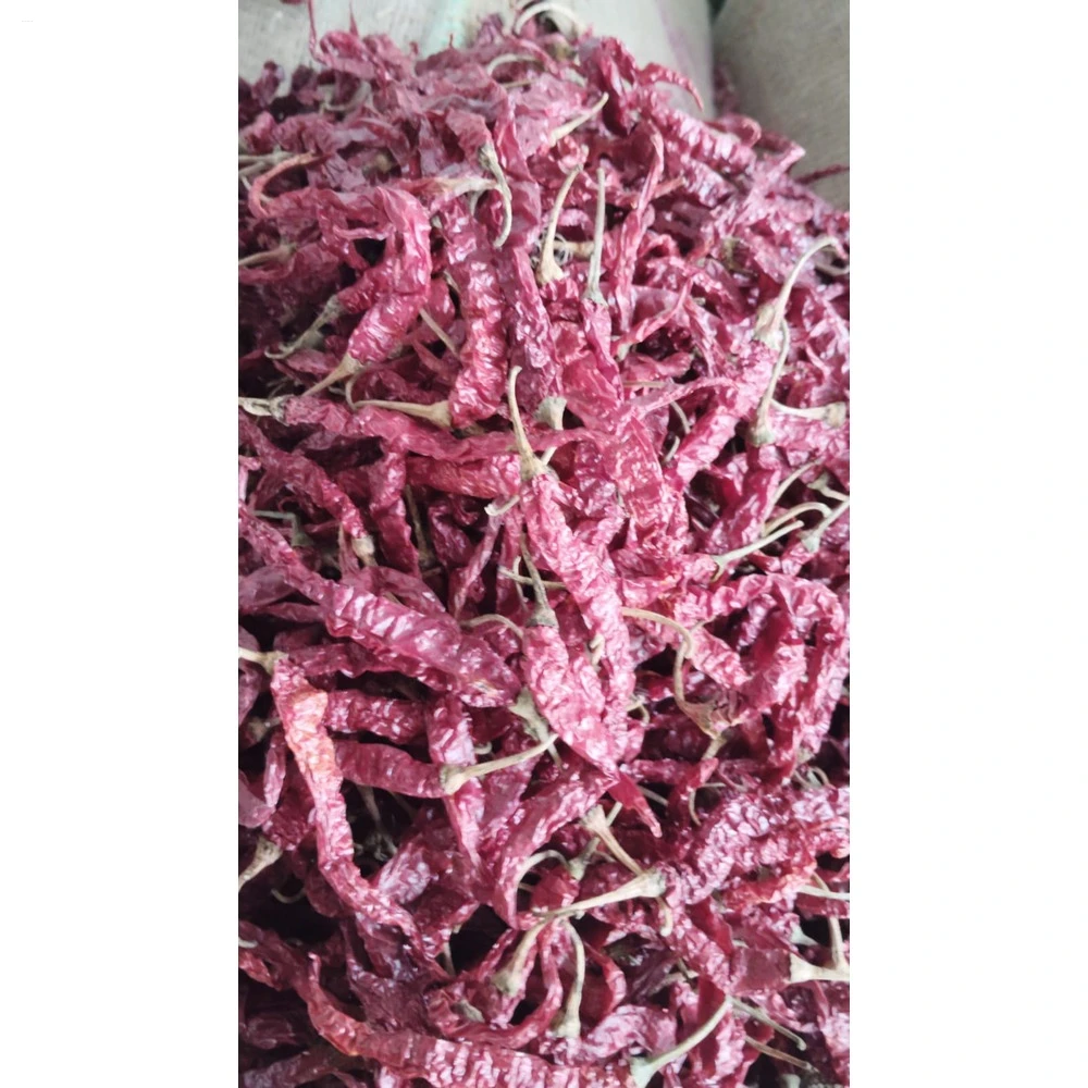 Organic Dried Red Byadgi Chilli Seed