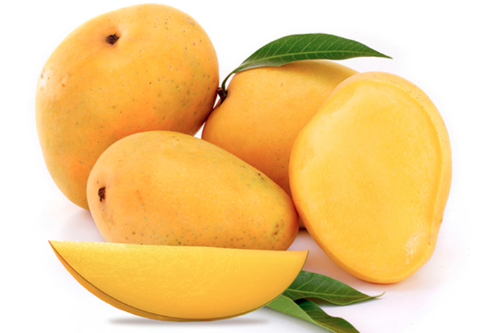 Premium quality with best price Alphonso Mango Puree / Pulp in india