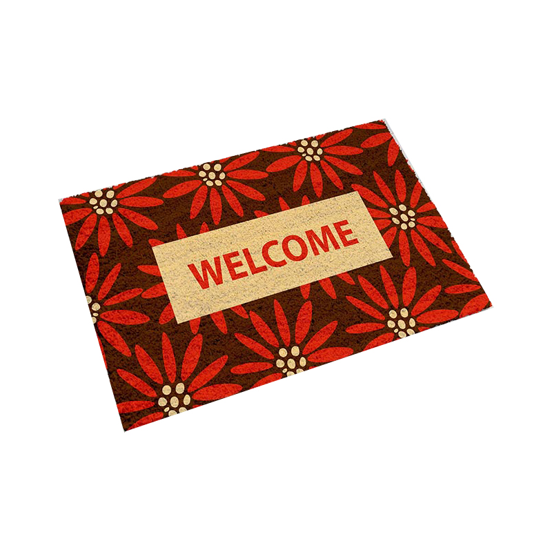 Lovely printed mats 45*75cm Indoor & Outdoor Rectangle Mat