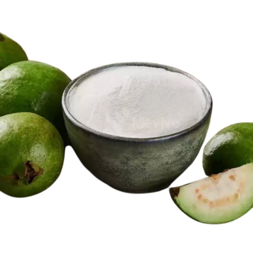 Nutrient Spray Dried Guava Powder Convenient and Versatile for All Food Processing Applications.