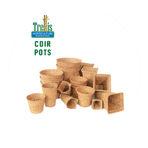 Natural Coir Pots