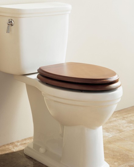 Two piece Sanitary Ware