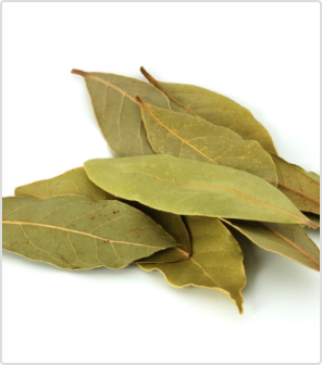 Top graded Bay Leaves with rich aroma of good quality at factory price