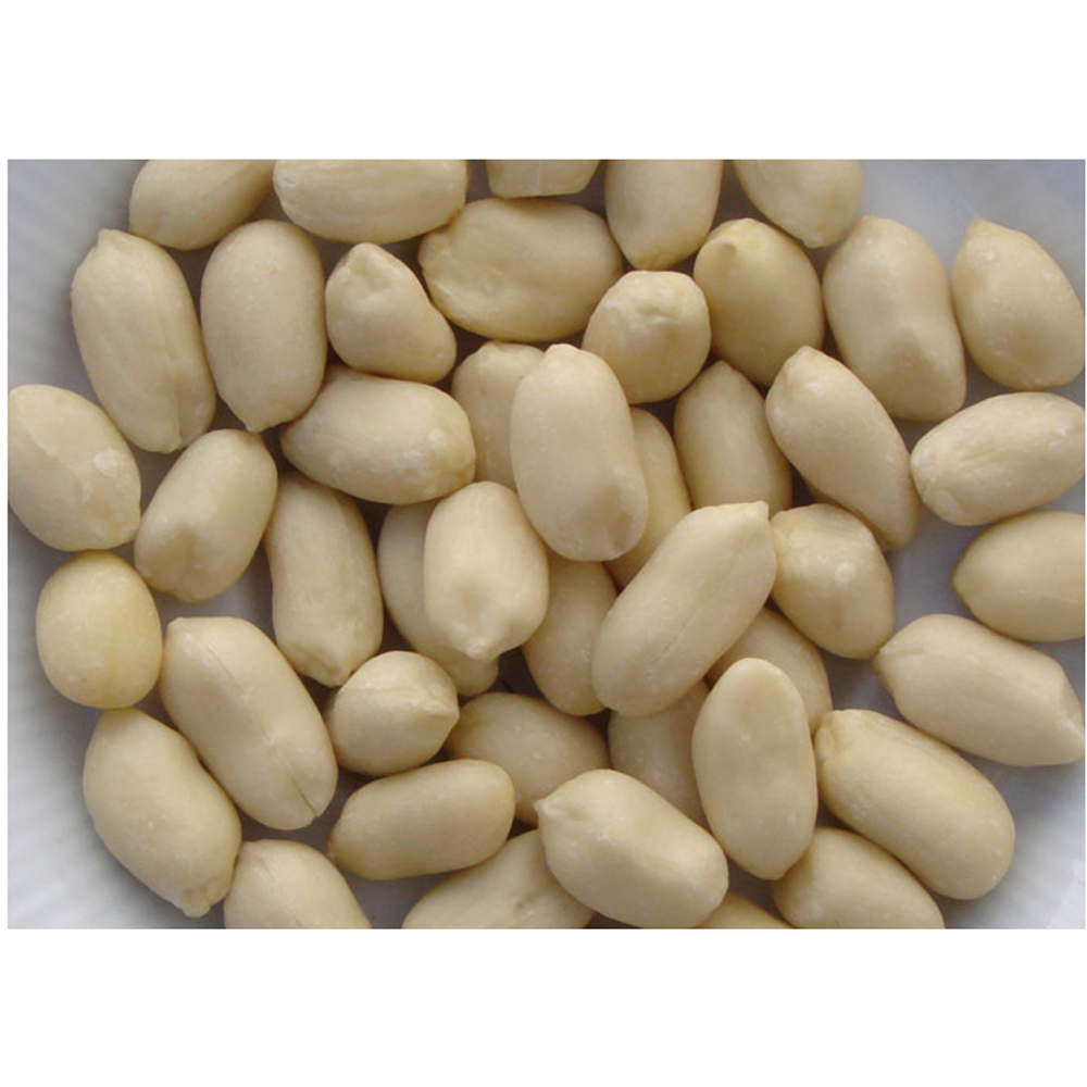 premium quality with low price crunchy Blanched Java Peanuts