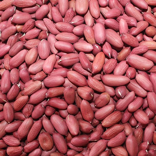 Organic Raw Peanuts From India