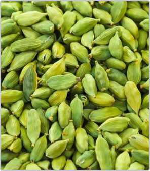 Natural Green Cardamom with intensively aromatic and resinous fragrance at best price