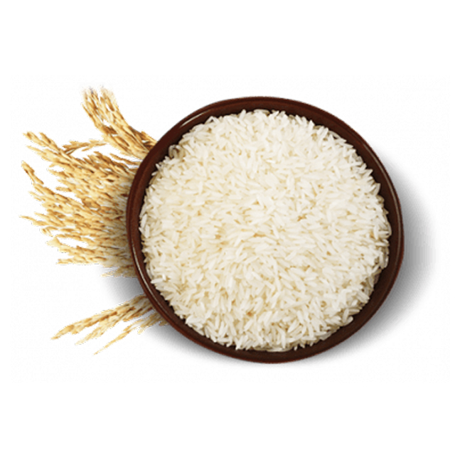 High quality PR-11 STEAM RICE