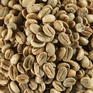 Top selling 100% arabica Green coffee beans fresh coffee beans for export in bulk quantity packaging from best quality exporters