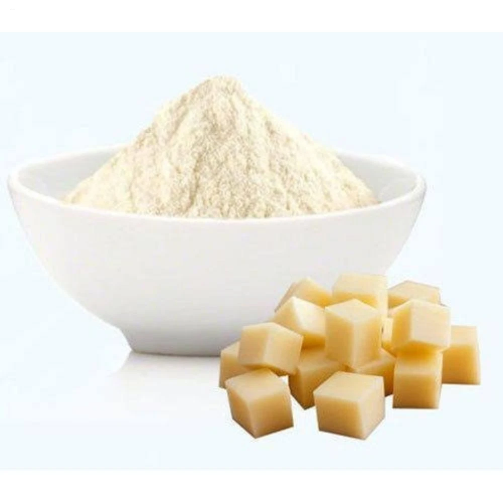 Premium Quality Spray Dried Cheese Powder for Beverages, Culinary, and Industrial Use  Fine Texture and Long Shelf Life